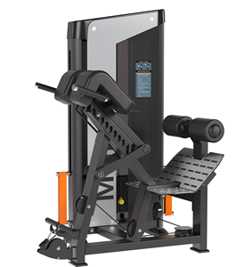Machines de sélection de charge de goupille Machine de musculation Équipement de fitness Entraîneur de dos romain pour la salle de sport - Product Image 1