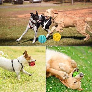 Jouets interactifs pour chiens, jouets en caoutchouc pour animaux de compagnie, balle magique roulante pour nettoyer les dents, jouet à mâcher pour chien à libération lente - Product Image 6