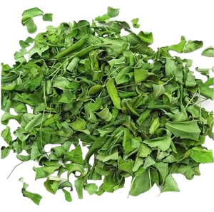 Idobio Moringa lá trà OEM viên nang Moringa lá chiết xuất - Product Image 1