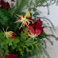 J&M Dunkelrote Tropische Seidenblumen-Set Gloriosa Anthurium Hochzeitsbogen Hintergrund Party-Verleih Schaufenster-Dekoration Großhandel Handgefertigt