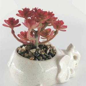 Venta al por mayor 3D único <span class=keywords><strong>gatito</strong></span> elefante flor suculenta <span class=keywords><strong>maceta</strong></span> encantadora Instagram cerámica arcilla cerámica <span class=keywords><strong>maceta</strong></span> gran oferta macetas <span class=keywords><strong>maceta</strong></span> - Product Image 4