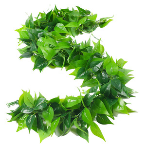 Vigne artificielle Hua Qianyun Pothos 100cm-200cm, feuilles en soie, verdure décorative pour mariage, maison, extérieur - Product Image 5