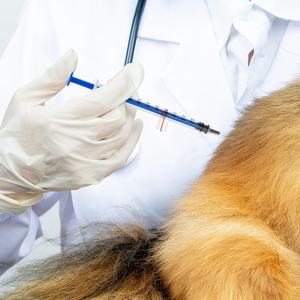 Autocollants pour seringues, marquage de dosage, étiquettes transparentes, ligne indicatrice rouge, étiquettes de <span class=keywords><strong>pharmacie</strong></span> pour médicaments vétérinaires et pharmaceutiques - Product Image 5