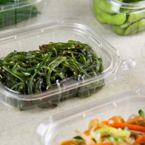 Directo de fábrica Ecológico 12 OZ Clamshell Desechable Envasado de alimentos Tamper Evident para ensalada y sándwiches - Product Image 6