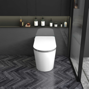 Tự Động Mở Kéo Dài WC Nhà Vệ Sinh Điện Nhật Bản Phong Cách Gốm Thông Minh Chậu Vệ Sinh Nhà Vệ Sinh Với Điều Khiển Từ Xa - Product Image 3