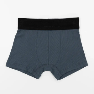 Caleçons en coton pour enfants à motif dessin animé, vente chaude en usine, sous-vêtements pour garçons, caleçons pour enfants, Calcinha Infantil - Product Image 1