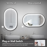 Miroir de salle de bain ovale LED moderne anti-buée avec variateur d'intensité et interrupteur tactile, à suspendre, pour salon et hôtel, avec grossissement