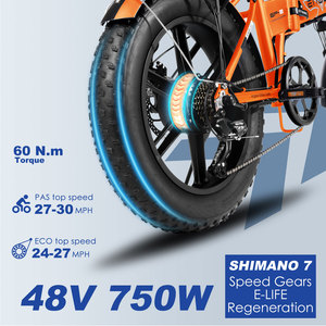 Bicicleta Eléctrica Plegable <span class=keywords><strong>ENGWE</strong></span> <span class=keywords><strong>Engine</strong></span> <span class=keywords><strong>X</strong></span> 250W con Batería de Iones de Litio de 48V 13Ah y Neumáticos Gruesos de 20 Pulgadas - Product Image 2