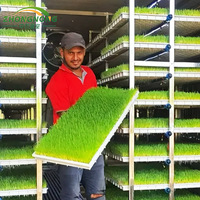 Système de culture hydroponique de l'orge en conteneur de fourrage contrôlé par PLC 1000 kg/jour Conteneur de plantation pour les herbes, les fleurs, les légumes