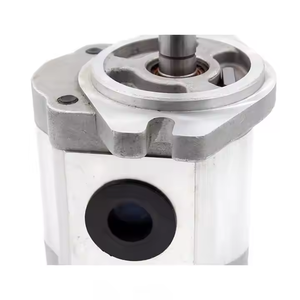 CBHS-FL-316 16 cc/rev usine directe et personnalisable 16 cc/rev pompe à engrenages hydraulique matériel de fonte - Product Image 3