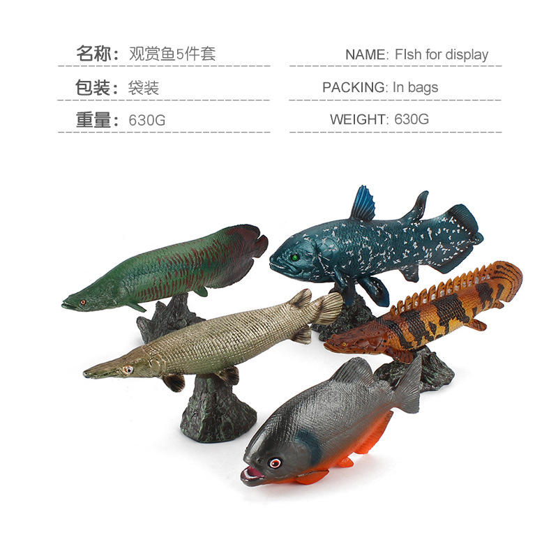 5 pieces of fish set 630g