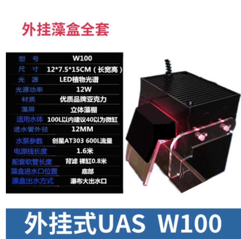 W100 algas caja externa conjunto completo