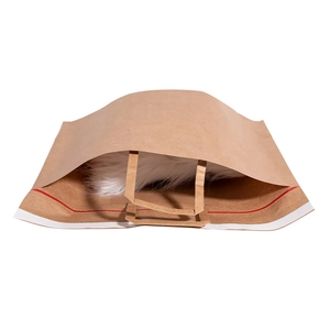 กระเป๋าส่งเมลเลอร์แบบสั่งทำถุงพิมพ์บรรจุงานจากบรรจุภัณฑ์ที่บ้านถุงกระดาษซองจดหมาย440x580ย่อยสลายได้ตามต้องการ - Product Image 2