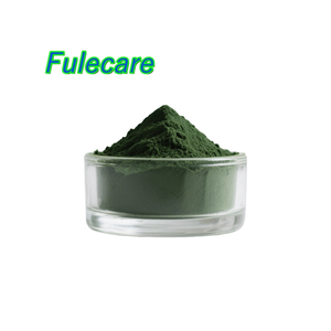 Vente en gros de phytoplancton marin de qualité alimentaire Oceanica Salina Nannochloropsis Poudre de phytoplancton marin Nannochloropsis Poudre - Product Image 1