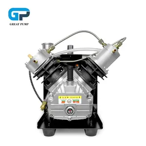 GP yüksek basınç 220V 4500psi 30mpa elektrik PCP hava kompresörü için Paintball