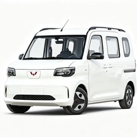 Wuling Zhiguang Nueva Energía 2025 305km Vehículo de Nueva Energía Avanzado Minivan para Transporte Urbano, Pasajeros y Uso Familiar en Viajes Urbanos