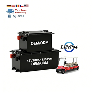 Batteries 48V 200Ah 16S1P avec surveillance en temps réel et BMS intelligent pour stockage d'énergie/voitures de golf/chariots élévateurs/systèmes de secours LFP48200 Fa - Product Image 3