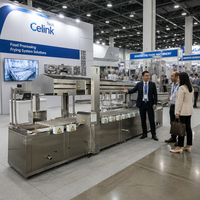 Chaîne de production de snacks entièrement automatique avec machine de friture continue, système de filtration et de déshuileage par convoyeur en acier 304