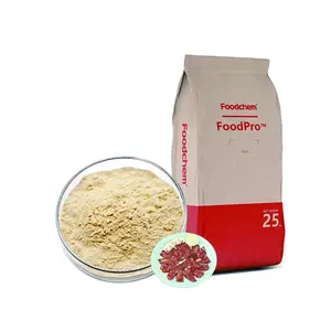 Factory Supply High Protein Soy Protein Isolate Nutritional Supplement For Meat Products