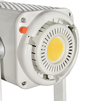 600W LED photographie vidéo Studio Flash lumière caméra Flash lumière stroboscopique caméra et Photo Flash accessoires