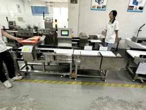 Metal algılama ağırlık algılama sistemi gıda Metal dedektörü ve gıda endüstrisi için kantar kontrol kantarı hepsi bir arada makine - Product Image 5