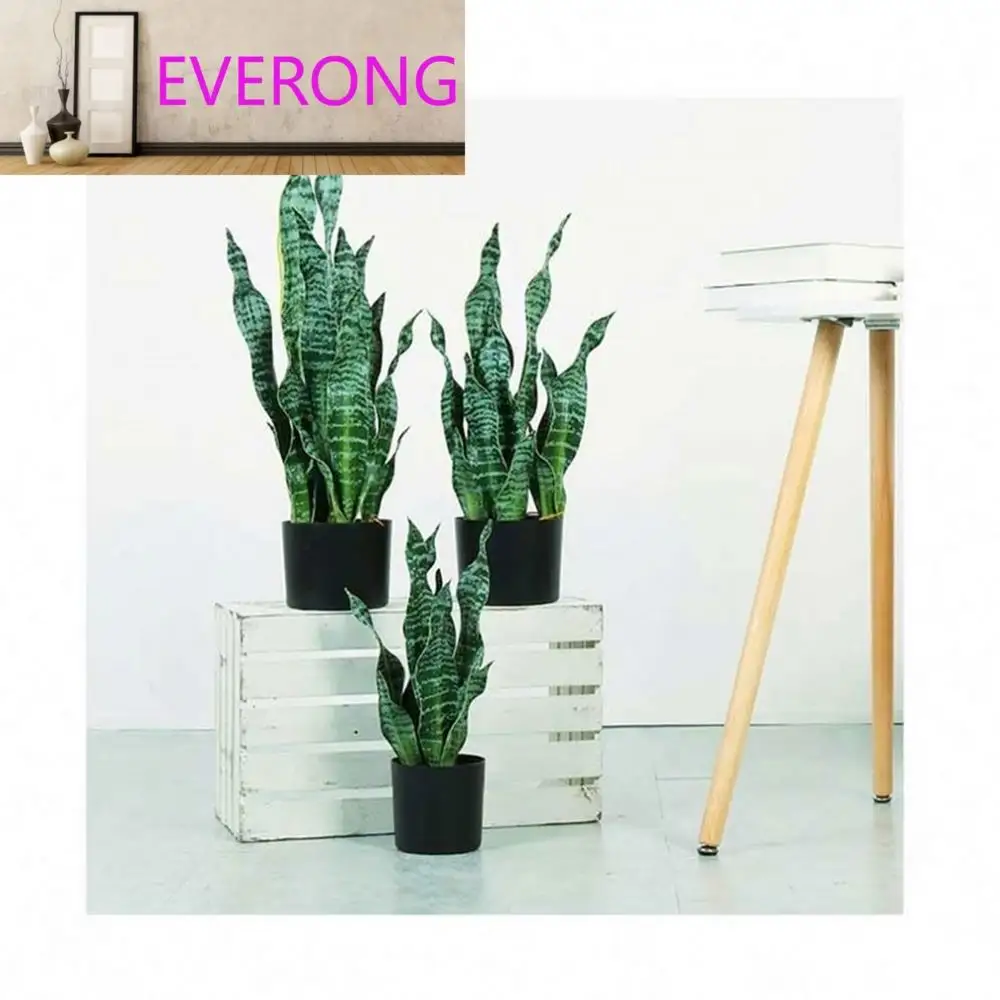 Plantas bonsái sansevieria artificiales decorativas de Interior para proveedor chino al por mayor