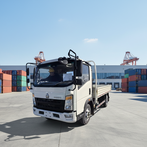 Грузовой автомобиль оптом на заказ Sinotruck Howo 4*2, мини-грузовик, новый, 5-10 тонн, дизельный двигатель, с одним спальным местом - Product Image 2