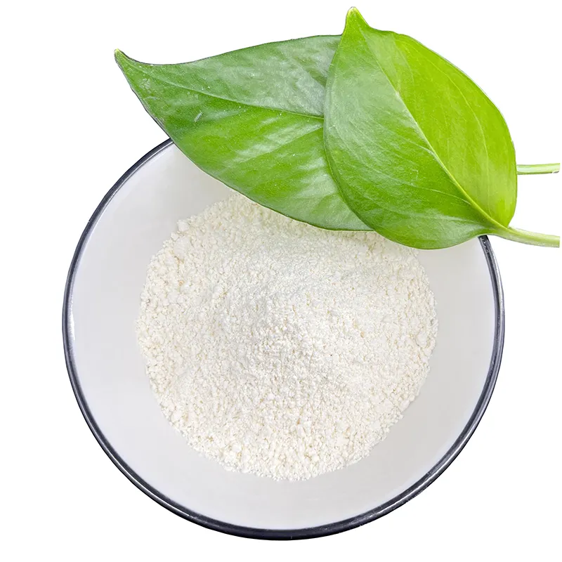 RICI Supply natural ferulic acid rice bran extract 98% pure ferulic acid powder bulk ferulic acid price