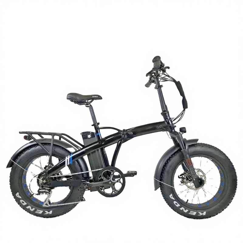 250w 48V 15Ah 20 Inch Fat