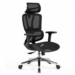 Chaise de bureau ergonomique en maille au design moderne avec soutien lombaire réglable, dossier ouvert et vérin à gaz de classe 4 - Product Image 1