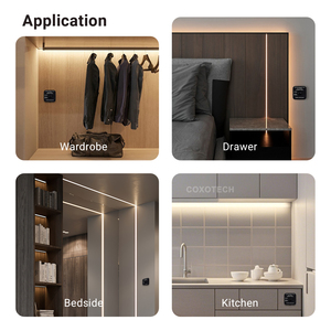 <span class=keywords><strong>3</strong></span>-In-1 <span class=keywords><strong>Sensor</strong></span> Pir Motion Touch <span class=keywords><strong>Sensor</strong></span> Partitie Voor Diy Kast Licht - Product Image 5