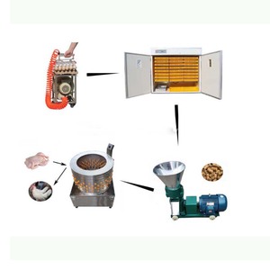 Incubadora de Huevos Profesional Comercial, Totalmente Automática, Fabricada en China - Product Image 3