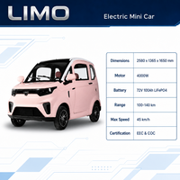 Voiture Utilitaire Électrique Compacte à Vendre : Mini-Voiture Électrique Fermée pour Adultes avec Homologation CEE COC