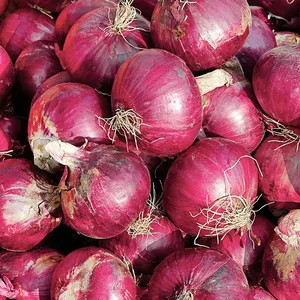 2022 Fresh High Quality 10kg/20kg Mesh Bag Red Peeled Onions