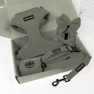 Correa de Perro de Terciopelo de Pana para Invierno, Accesorios Cálidos para Perros, Arnés de Cachorro, Chaleco con Logotipo de Goma Personalizado con <span class=keywords><strong>Collar</strong></span> para Perro - Product Image 3