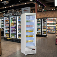 Congélateur vitrine commercial à porte simple 400L pour crèmes glacées et aliments surgelés, idéal pour supermarchés