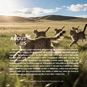 Lettiera per Gatti al Carbone Attivo Manxiaomeng, Sabbia Ecologica Assorbente in Bentonite, Profumo Naturale, Agglomerante, 5KG Bianco - Product Image 6