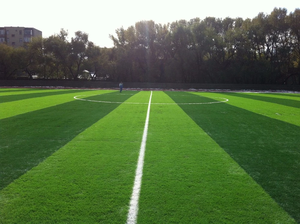 Campo de fútbol Golf Putting Mat Alfombra de hierba verde falsa Césped sintético Rollo de hierba artificial Suelo deportivo - Product Image 4