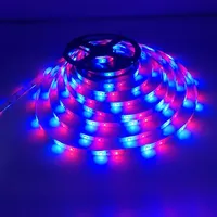 Kit de bande LED 24 touches SMD2835 RGB 54 LED par mètre IP20 IP65 16 pieds avec adaptateur secteur 12V 2A prise EU US UK AU