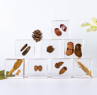 Groothandel Handgemaakte Harsen Handwerk Diy Vruchten Zaden Specimen Leermiddelen Kerstgeschenken Plant Hars Ambachten