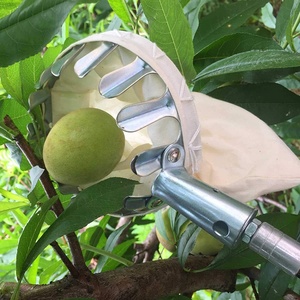 VERTAK longue portée télescopique pôle jardin cueilleur de fruits métal <span class=keywords><strong>verger</strong></span> tête panier attrape <span class=keywords><strong>pomme</strong></span> pêche collecteur de fruits - Product Image 5