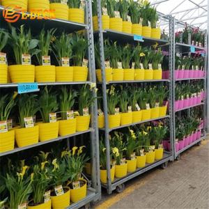 नवीनतम डिजाइन ग्रीनहाउस उद्यान रोलिंग नर्सरी संयंत्र परिवहन धातु रैक और गाड़ियां - Product Image 4