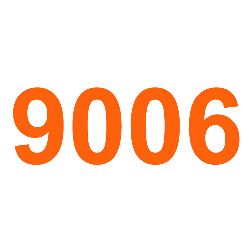 9006 6000K