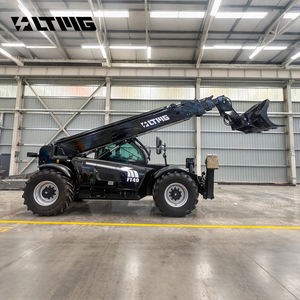 LTMG FT40 Oficial 4 Ton 15M 17m Pequeño Brazo Camión Grúas Telescópico Manipulador <span class=keywords><strong>Boom</strong></span> Carretilla elevadora - Product Image 4