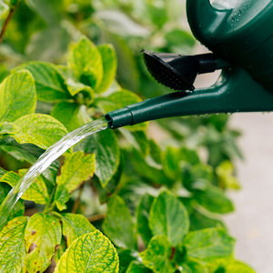 Новая модель оросительной банки skyagro для фермы или домашнего использования, бутылочка для орошения хорошего качества - Product Image 4