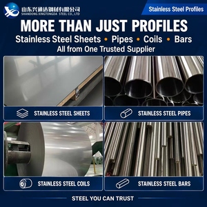 Poutre en H en acier inoxydable sablée, laminée à chaud, avec revêtement époxy 201, IPE 200 DIN 1025-2, offrant une excellente résistance à la corrosion - Product Image 3