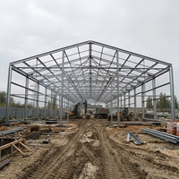 Estructura de Acero Galvanizado Prefabricada para Gallinero, Moderna Carcasa Metálica para Aves de Corral, Construcción de Naves Avícolas de Larga Duración