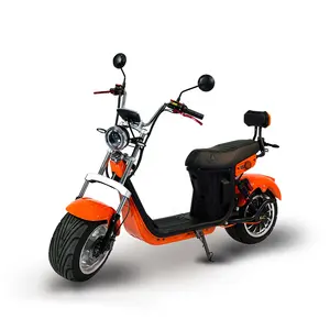 Canada Warehouse Scooter Electric Motorcycle 2000W Citycoco Electric Chopper Blue Stock
