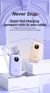 Logo personnalisé 10000mAh Banques haute puissance Charge rapide 22.5W PD Chargeur Portable de poche Numérique Smart LED Fonction magnétique <span class=keywords><strong>Location</strong></span> - Product Image 5