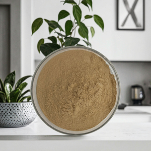 Shikonin bột 10:1 <span class=keywords><strong>comfrey</strong></span> lá chiết xuất <span class=keywords><strong>comfrey</strong></span> chiết xuất - Product Image 6